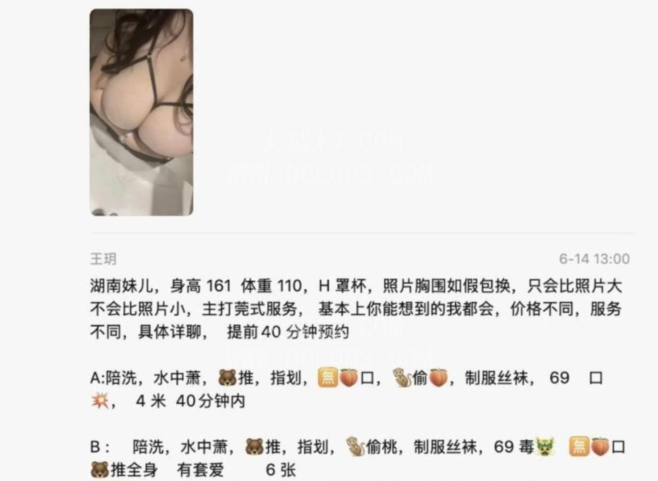 芜湖H杯湘妹子